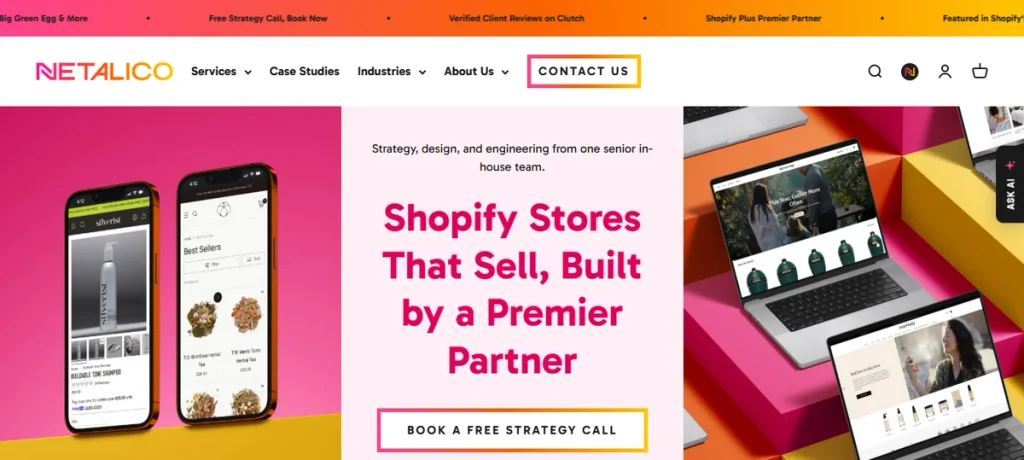 Screenshot of Netalico Homepage